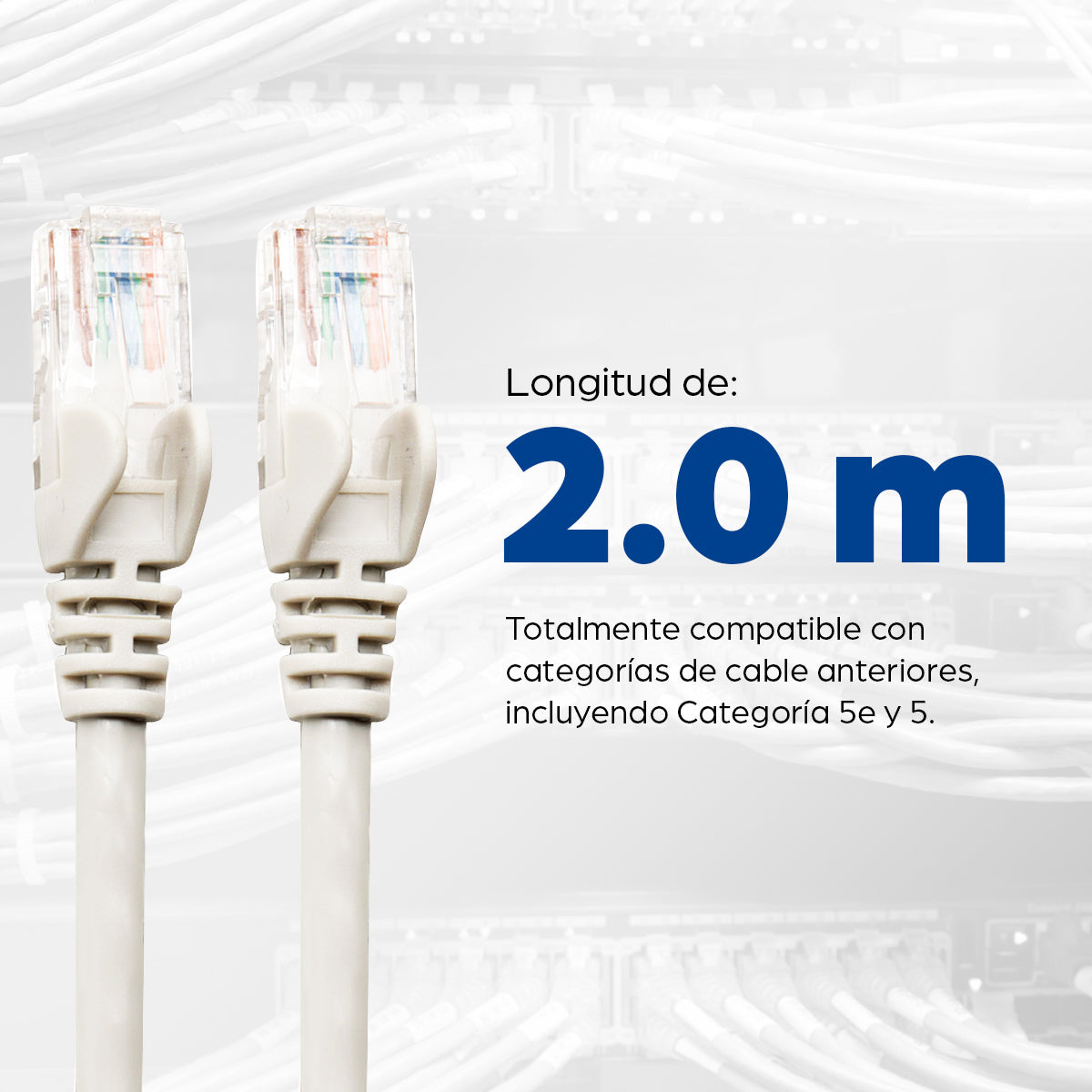 Intellinet Cable de red, Cat6, UTP Cable Blanco 2 m Cat6 RJ-45