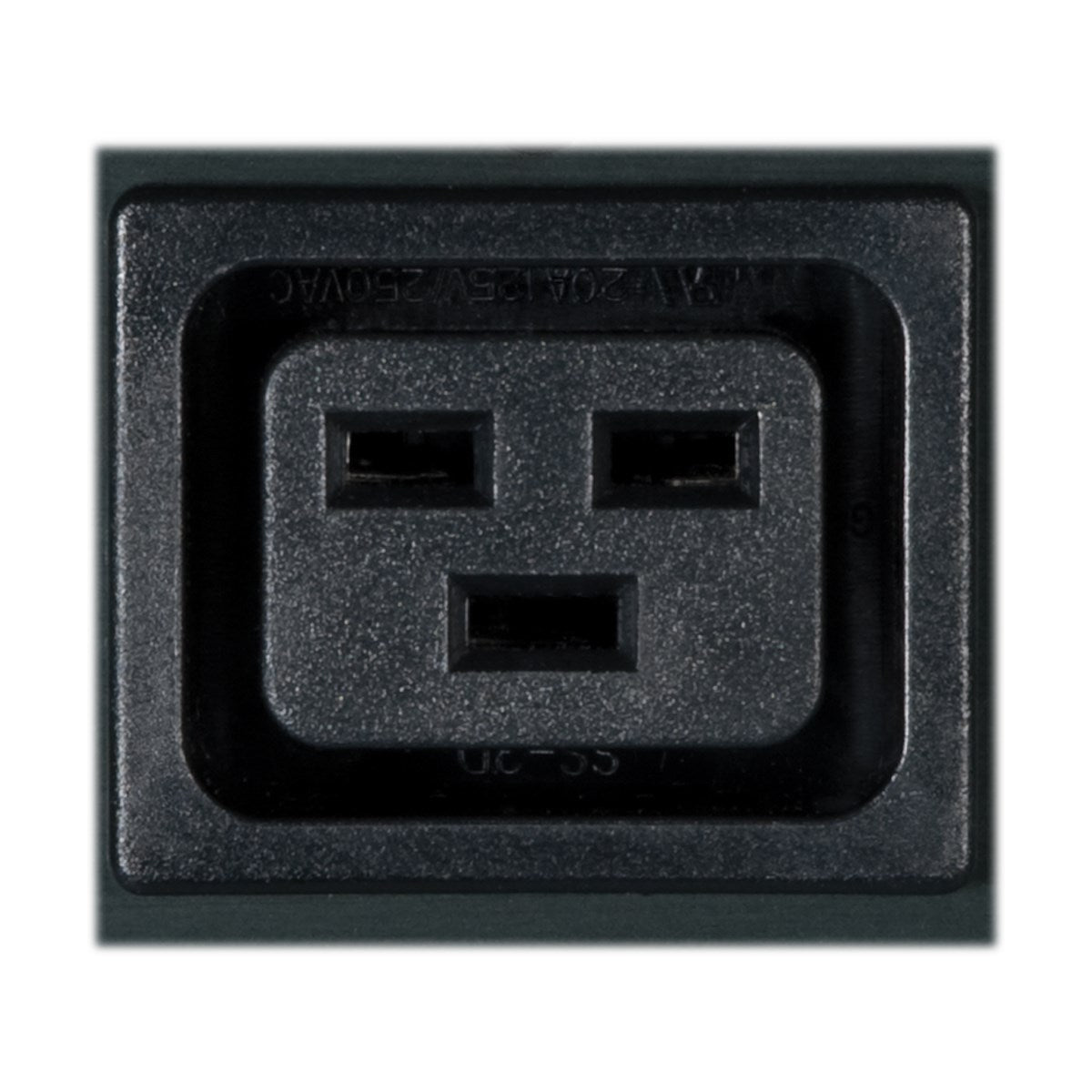Tripp Lite PDUMV30HVNETLX unidad de distribución de energía (PDU) 24 salidas AC 0U Negro