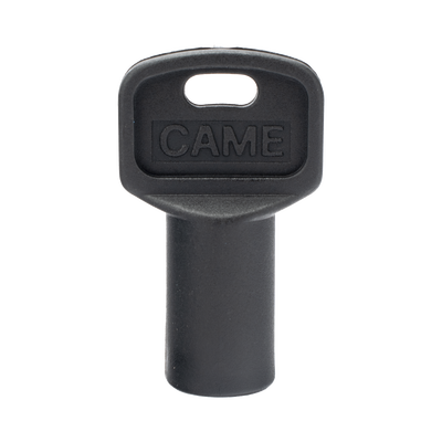 Came Llaves de Repuesto / 10 Piezas / Triangulares Negras 119-RIY077
