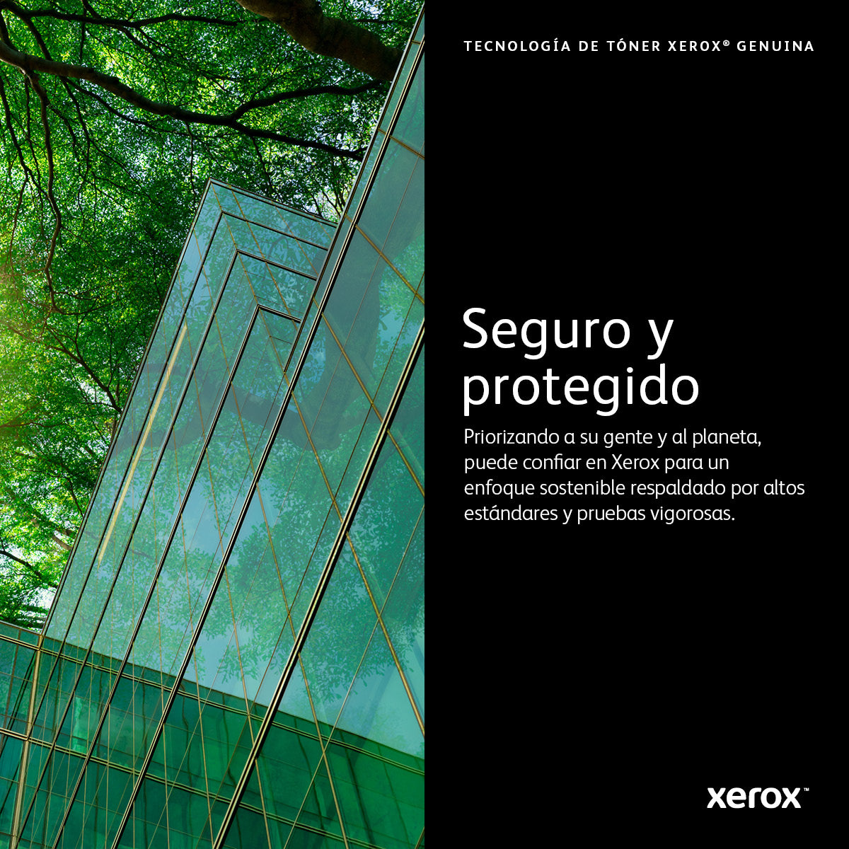 Xerox 13R591 Cartucho de Tinta WorkCentre 5325, 5330, 5335 1 pieza(s) Original Negro