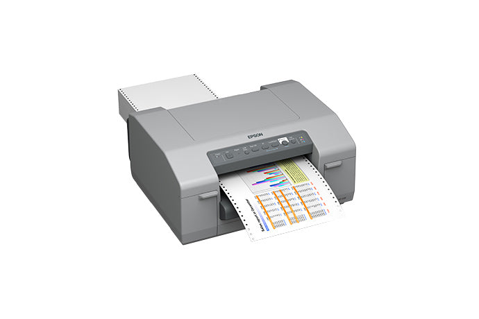 Epson C831 Impresora Inyección de tinta Gris