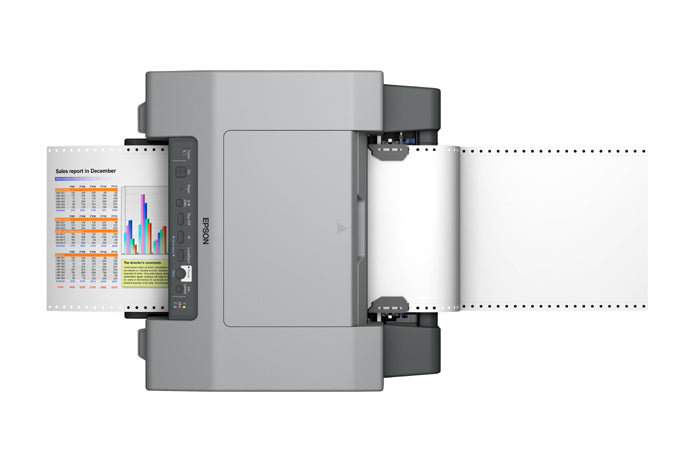 Epson C831 Impresora Inyección de tinta Gris