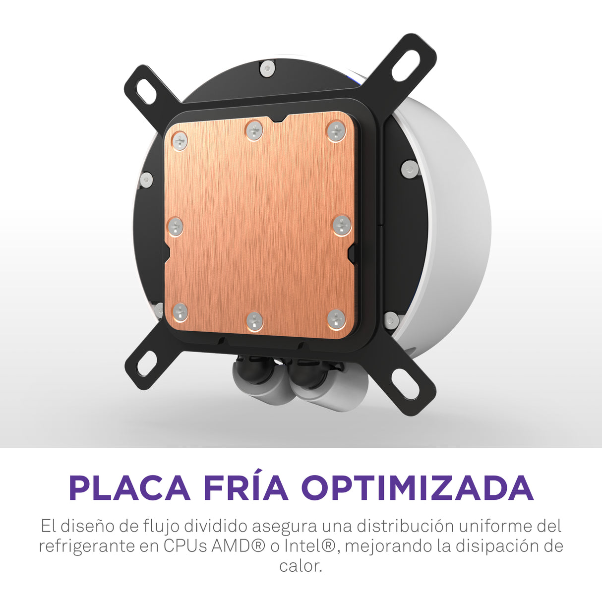 NZXT Kraken Elite 280 RGB Procesador Refrigerador de líquidos todo en uno 14 cm Blanco 1 pieza(s)