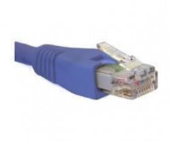 Nexxt Solutions 15.2m Cat5e cable de red Azul 15,2 m