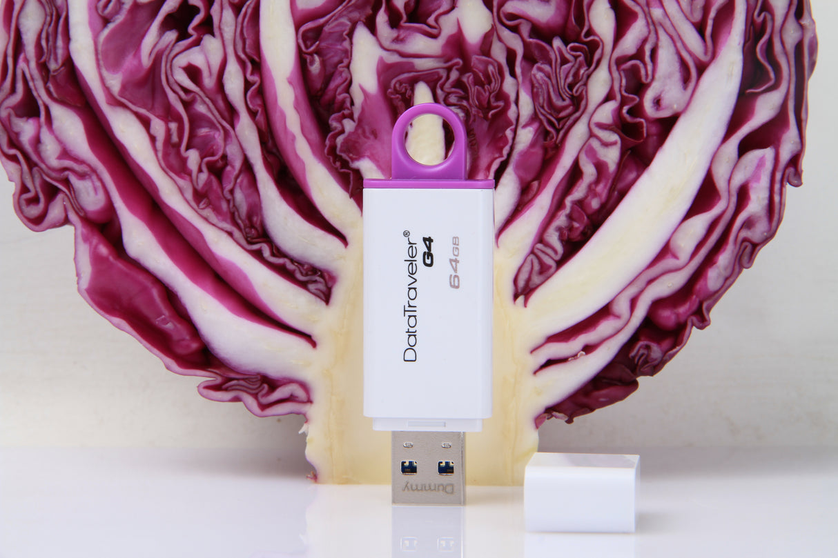 Kingston Technology DataTraveler G4 Memoria Flash 64 GB USB tipo A 3.2 Gen 1 (3.1 Gen 1) Si