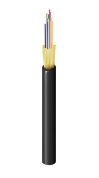Belden FDSD012P9 Cable de fibra óptica e InfiniBand OFNP Negro