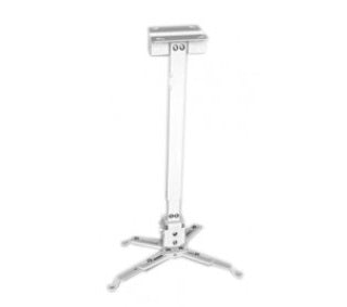 Multimedia Screens 4365 montaje para projector Pared Blanco