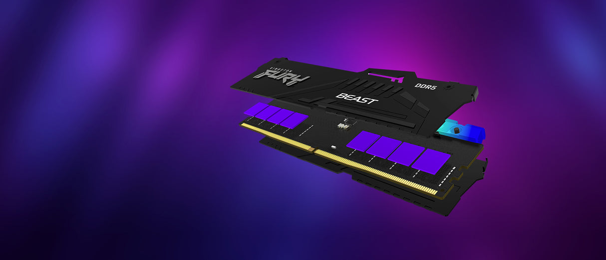 Kingston Technology 16 GB 5600 MT/s DDR5 CL36 DIMM FURY Beast RGB Memoria RAM Si 36 16 GB 1 x 16 GB