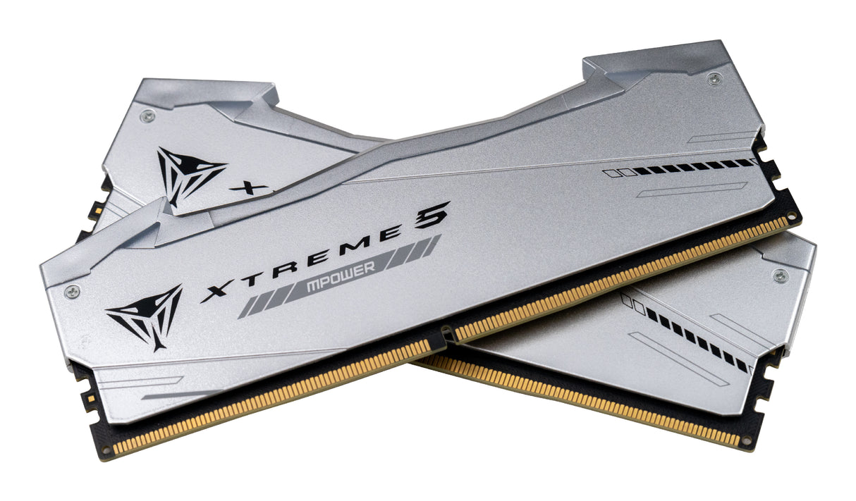 Patriot Memory Viper Xtreme 5 RGB módulo de memoria 32 GB 2 x 16 GB DDR5 6000 MT/s 288-pin DIMM ECC, Plata