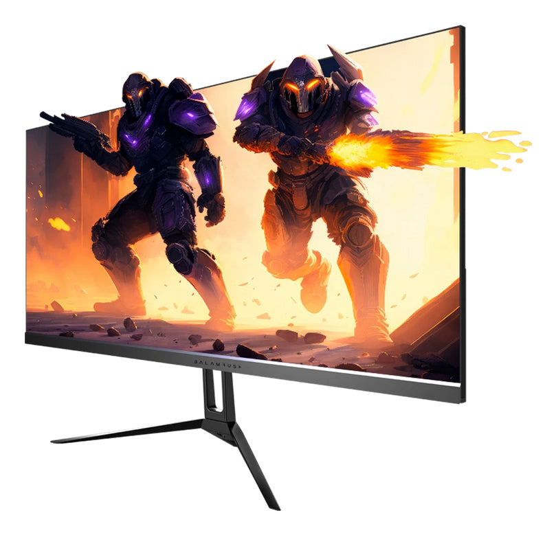 Balam Rush Ultra Odyssey II MGF29P pantalla para PC 73,7 cm (29") 2560 x 1080 Pixeles LCD Negro