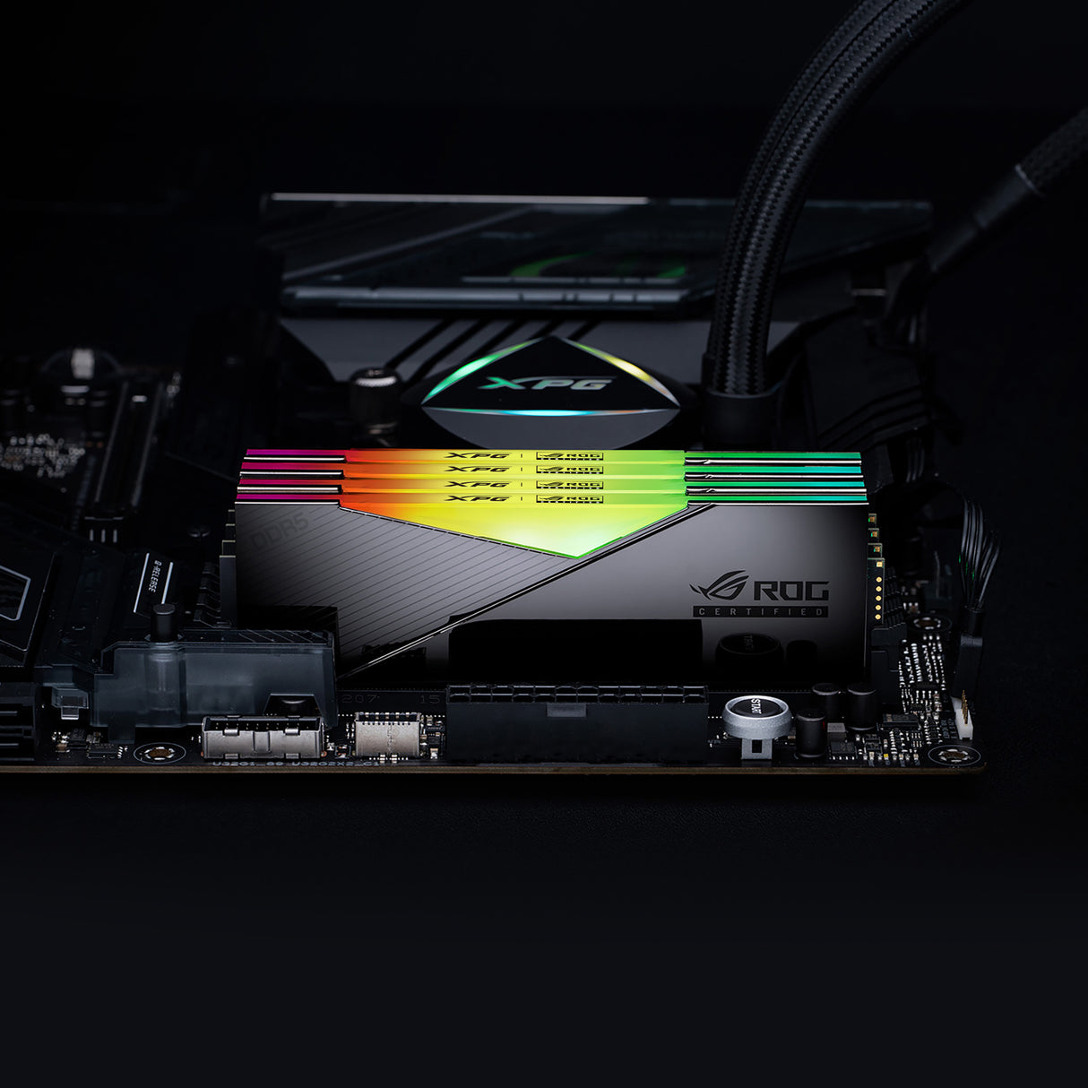XPG Lancer RGB ROG Memoria RAM Si 44 32 GB 2 x 16 GB