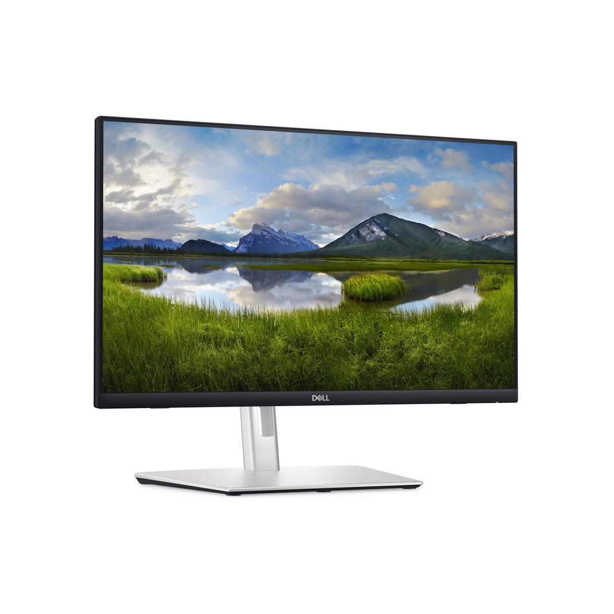 DELL P Series P2424HT monitor de computadora 60.5 cm (23.8") 1920 x 1080 Pixeles Full HD LCD Pantalla táctil Negro, Plat