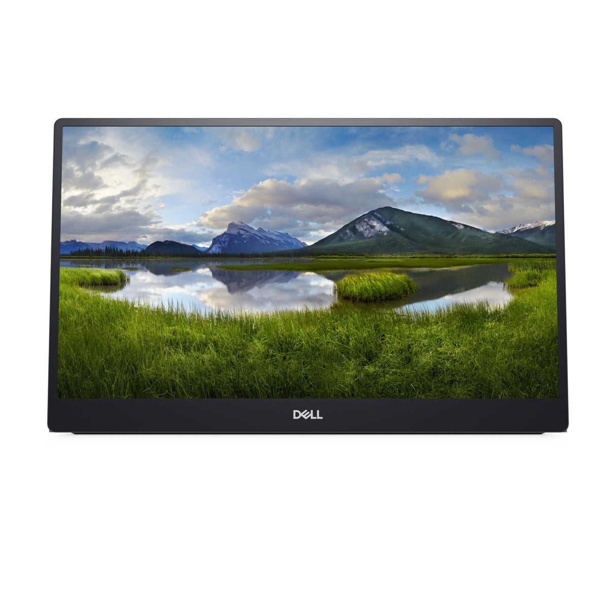 DELL P Series Monitor portátil 14 - P1424H Monitor 35,6 cm (14") 1920 x 1080 Pixeles Full HD LED Gris