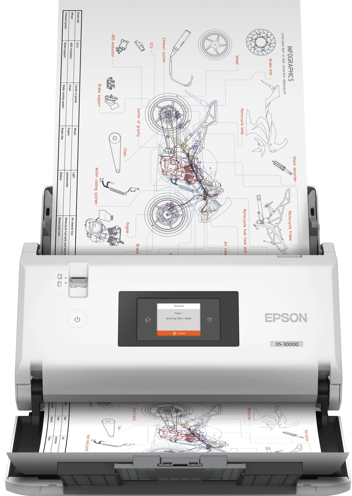 Epson DS-30000 Escáner alimentado con hojas 600 x 600 DPI A3 Blanco