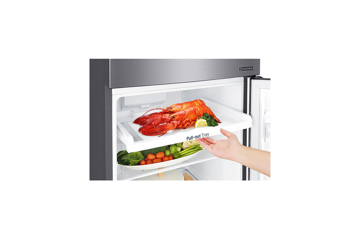 LG GT32BDC frigoríficos y congeladores Independiente Plata Derecho Vidrio templado