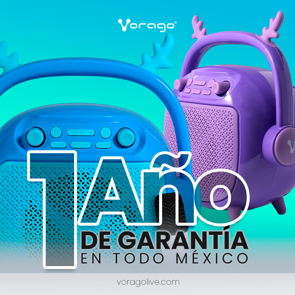 BOCINA VORAGO BSP-205 BLUETOOTH / MSD / USB / 3.5MM MICRÓFONO CON MODOS DE VOZ COLOR PURPURA