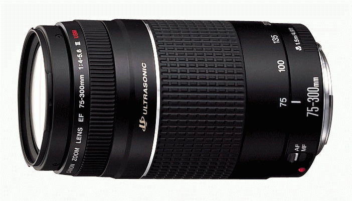 Canon EF 75-300mm f/4.0-5.6 III USM Negro, Autoenfoque, 6473A003AA | Lentes de cámara