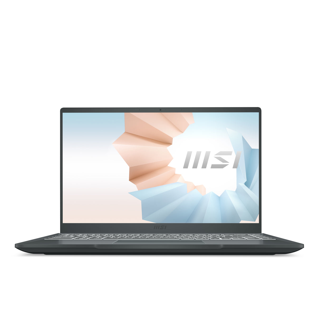 MSI Modern 14 B10MW-486 Laptop Portátil Gris Concha 35,6 cm (14")