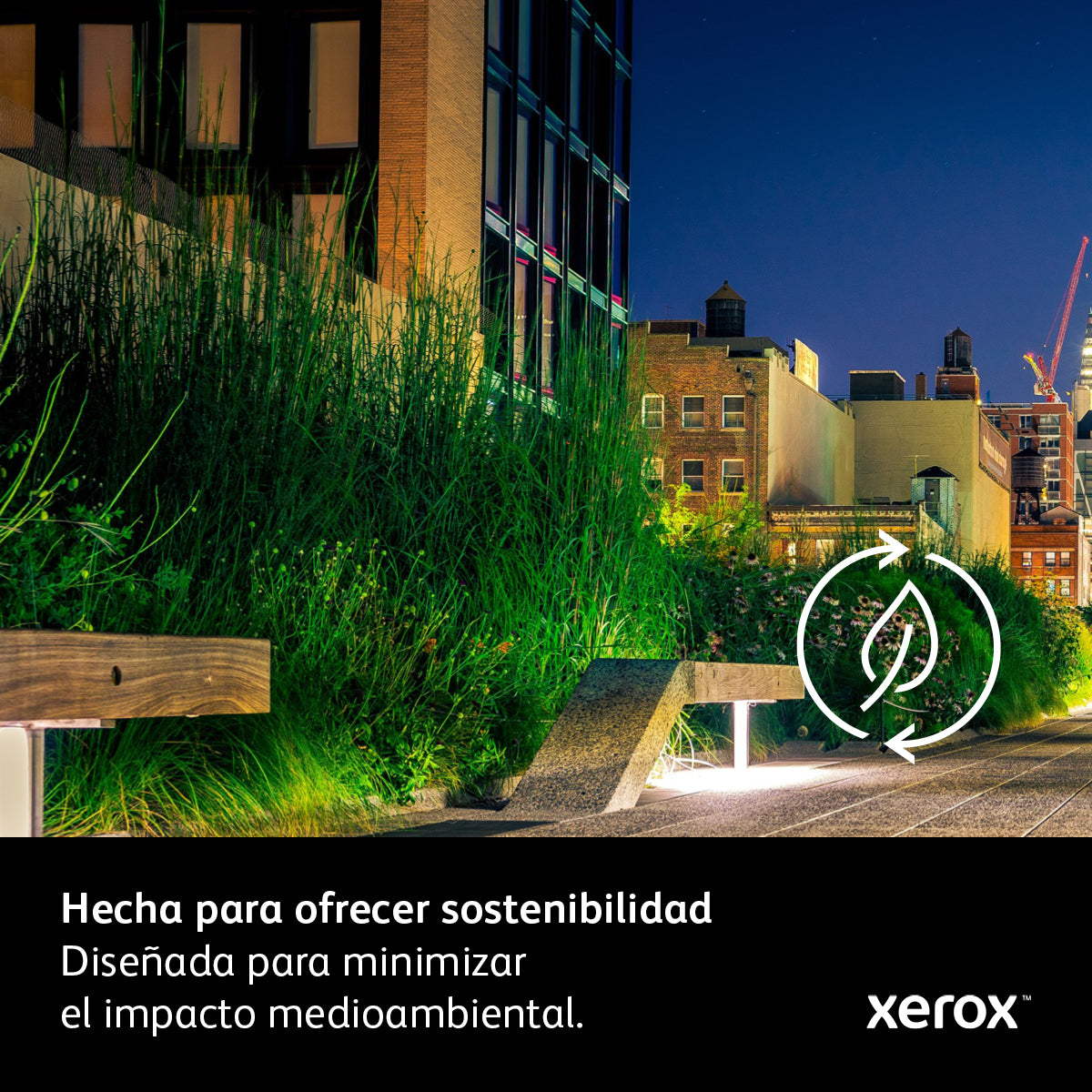 Xerox Xerox C310 Black Worldwide Toner Cartridge (8000 pages) Cartucho de Tinta C310 1 pieza(s) 1 8000 páginas