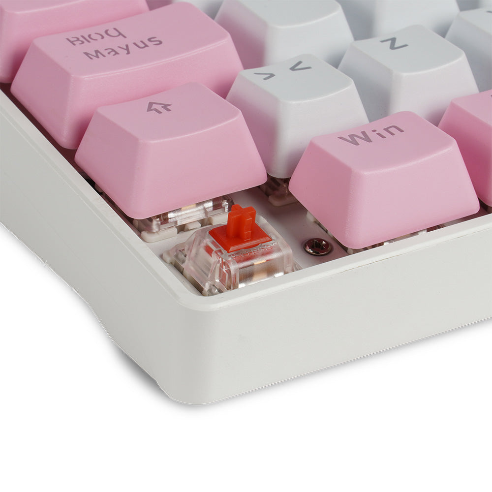 Game Factor KBG560-WH teclado Juego USB QWERTY Español Blanco