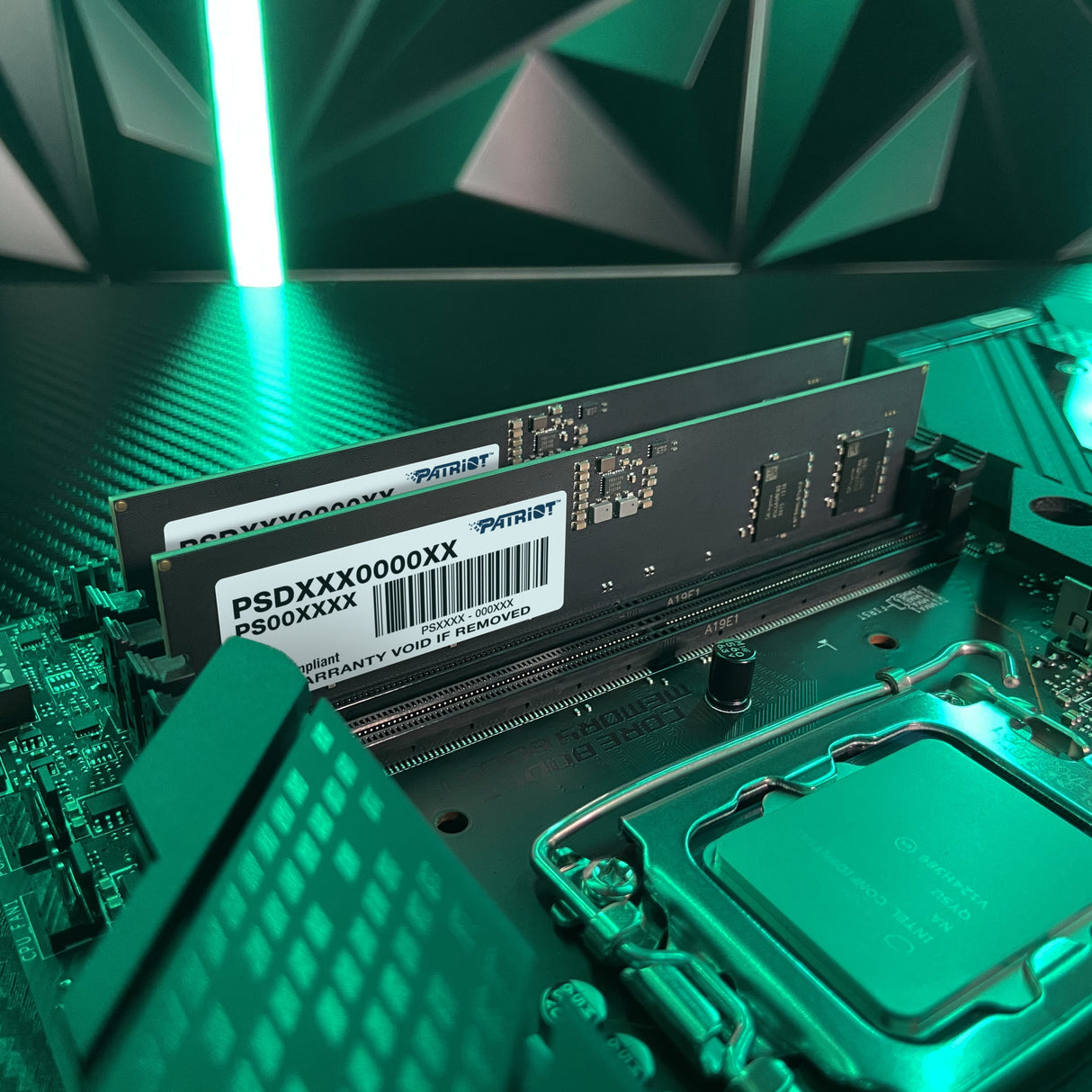 Patriot Memory Signature Line PSD516G4800K módulo de memoria 16 GB 2 x 8 GB DDR5 288-pin DIMM, 4800 MHz