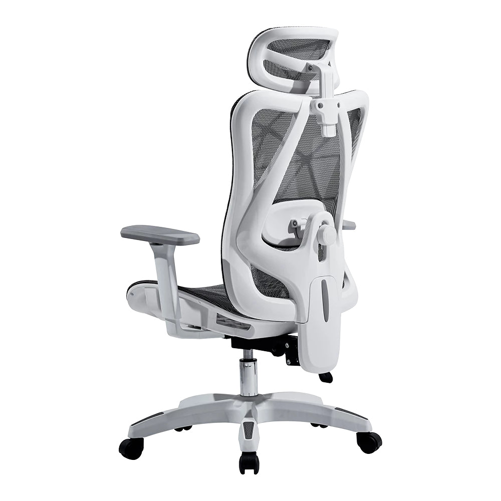 Acteck Floe Plus EC727, Gris, Blanco, Gris, AC-940290 | Sillas para oficina y computadora