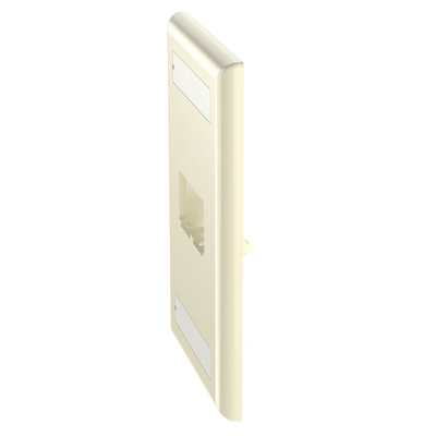 CFPL2EIY - Panduit Placa de Pared Vertical / 2 Puertos Mini-Com / Diseño Plano CFPL2EIY