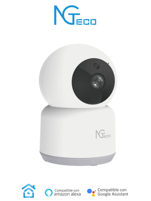 ZKTeco NG-C2401 cámara de vigilancia Esférico Cámara de seguridad IP Interior 1920 x 1080 Pixeles Es