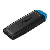 Kingston DTXG2/128GB