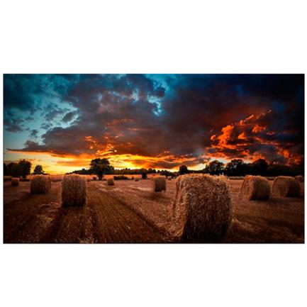 Samsung VM46T-U Pantalla para Videowall LCD 46", Full HD, Negro