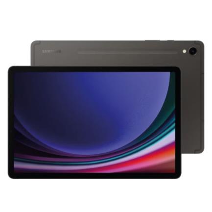 Tablet Samsung Galaxy Tab S9 11" Octacore 256GB Ram 12GB Android Color Gris