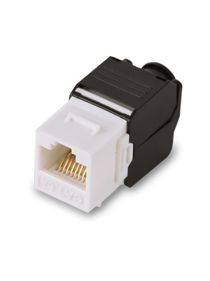 Modulo jack keystone RJ45 CAT 6 SAXXON M242C6 / Armado sin herramienta / 8 Hilos / AWG 22-26 / Blanco