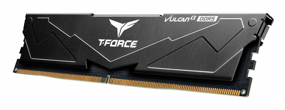 Team Group VULCAN módulo de memoria 16 GB 2 x 8 GB DDR5 44800 MT/s 288-pin DIMM ECC, 5600 MHz, Negro