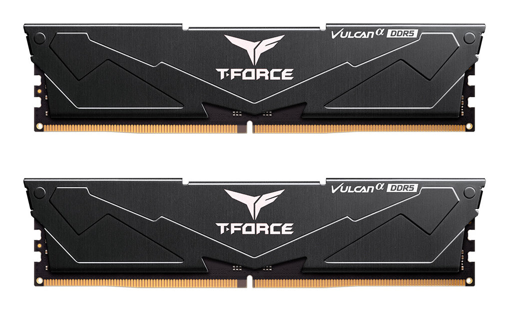 Team Group VULCAN módulo de memoria 16 GB 2 x 8 GB DDR5 44800 MT/s 288-pin DIMM ECC, 5600 MHz, Negro