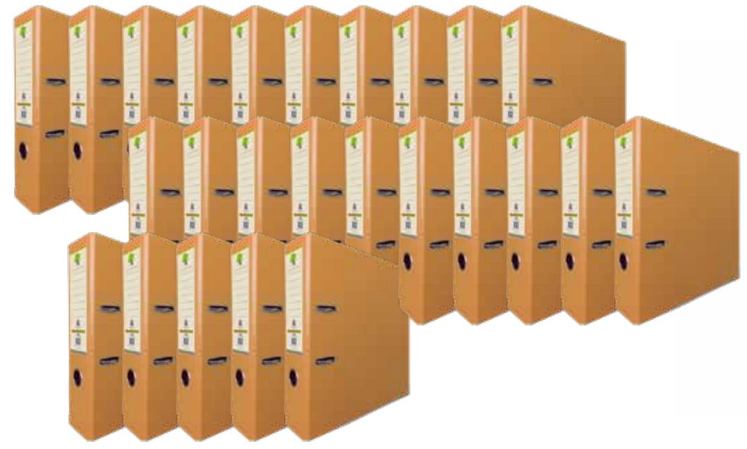 Techmakro KITCARP25DR carpeta de cartón Carta Oro, Anillo D, Almacenamiento, Cloruro de polivinilo (PVC)