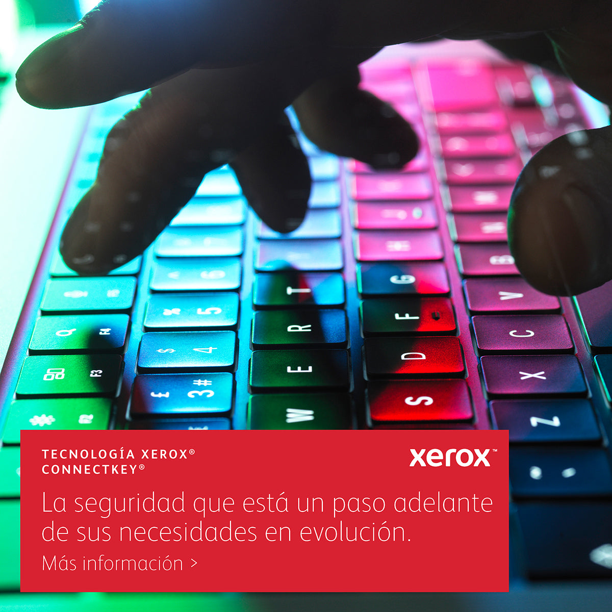 Xerox VersaLink C625_DN Impresora Multifunción Laser Blanco