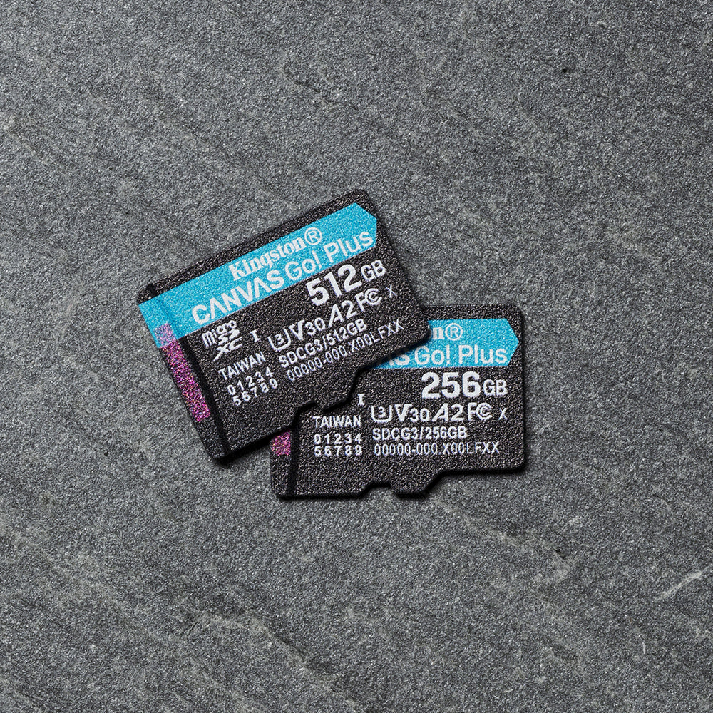 Kingston Technology Canvas Go! Plus Tarjeta microSDXC Canvas Go Plus 170R A2 U3 V30 de 256 GB con ADP Memoria Flash 256