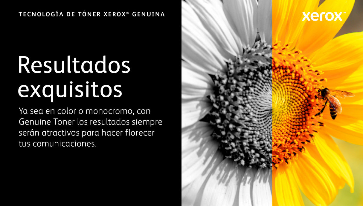 Xerox VersaLink C8000 Cartucho de tóner BLANCO de capacidad estándar (5.000 páginas) WW Cartucho de Tinta 1 pieza(s) 1 5000 páginas 5000 páginas