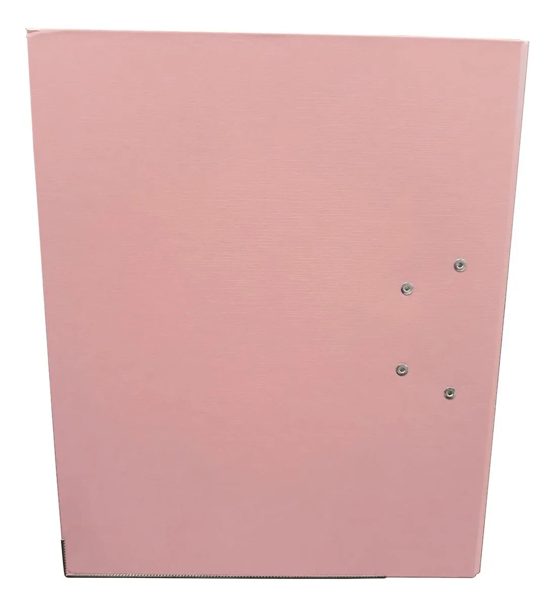 Techmakro KITCARP25RS carpeta Cartón, Cloruro de polivinilo (PVC) Rosa Carta, Folder de archivo convencional, Mate, 650