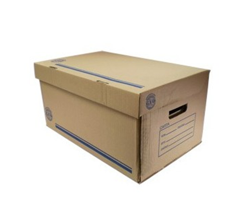 Caja Geo Archivo Carton Carta 50X31X25 Cm C/20 - 004 FullOffice.com