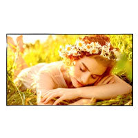 Monitor Profesional LG 50UL5Q - MONITORES