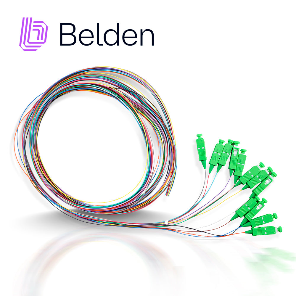 Belden Pigtail de Terminación FTSSB900PR12, 12 Fibra, 900 µm, 2 m, SC Simplex APC