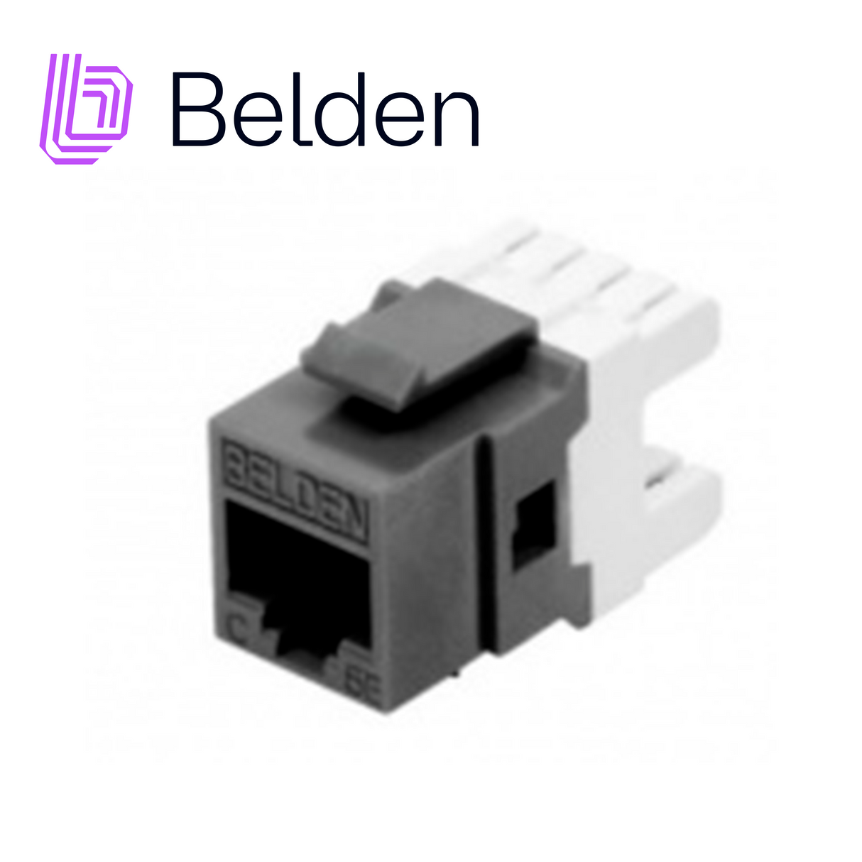 Belden Conector Modular Jack CAT6+ RJ45 AX101318, Interior, Gris, 10 Gbps