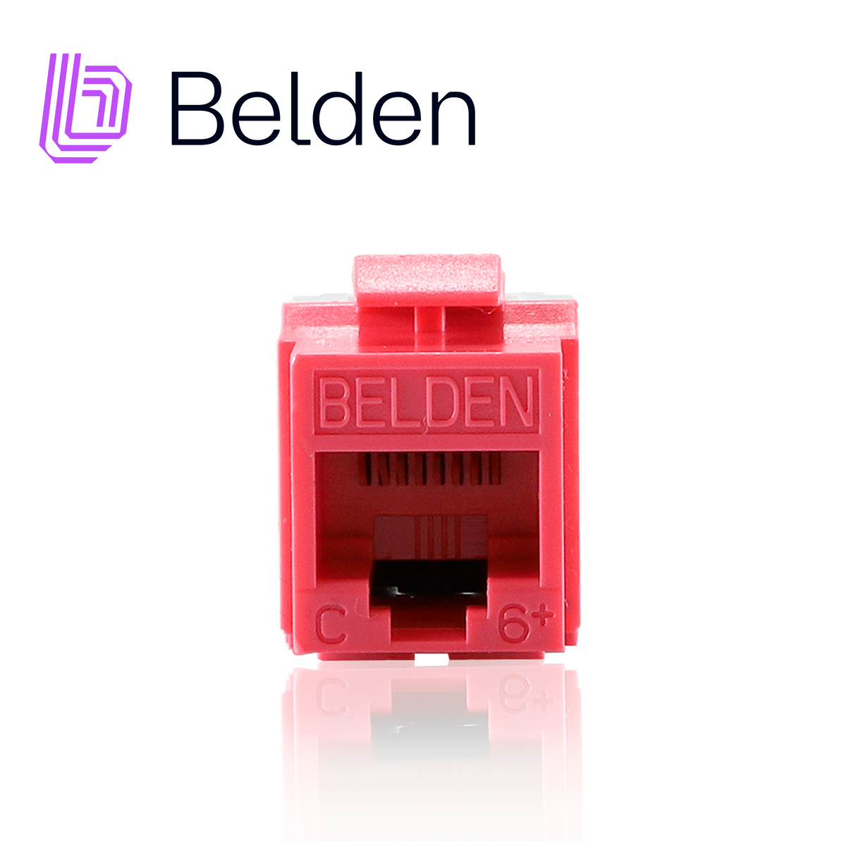 Belden Conector Modular Jack CAT6+ RJ45 AX101328, Interior, Café Claro