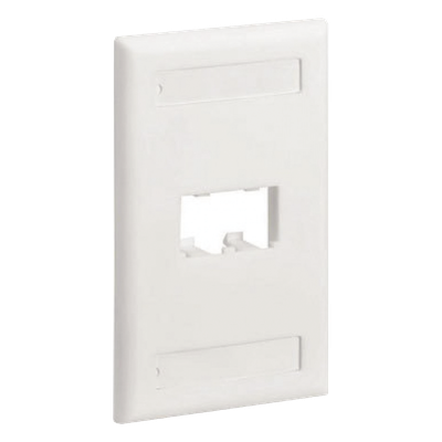 CFPL2WHY - Placa de Pared Vertical / 2 Puertos Mini-Com / Diseño Inclinado / Con Espacios para Etiquetas / 2.75 x 4.5 pulgadas / Blanco