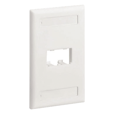 CFPL2IWY - Placa de Pared Vertical / 2 Puertos Mini-Com / Diseño Plano / Espacios para Etiquetas / 2.75 x 4.5 pulgadas / Blanco Mate
