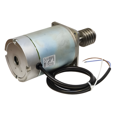 119-RIG405 - Motor eléctrico de refacción para barreras GARD3 CAME