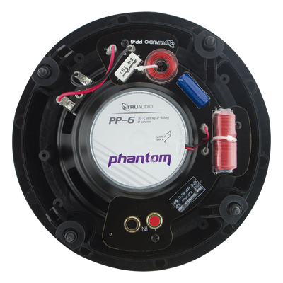 PP-8 - Truaudio Altavoz de Techo de 2 Vías / Woofer 8in / 120W PP-8