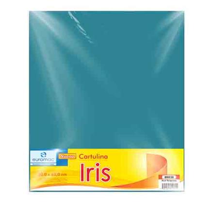 Cartulina Euromac Iris Azul Turq 50X65Cm C/10 - Ei0038 FullOffice.com
