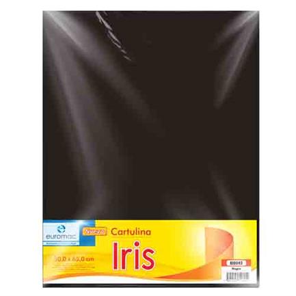 Cartulina Euromac Iris Negro 50X65Cm C/10 - Ei0042 FullOffice.com